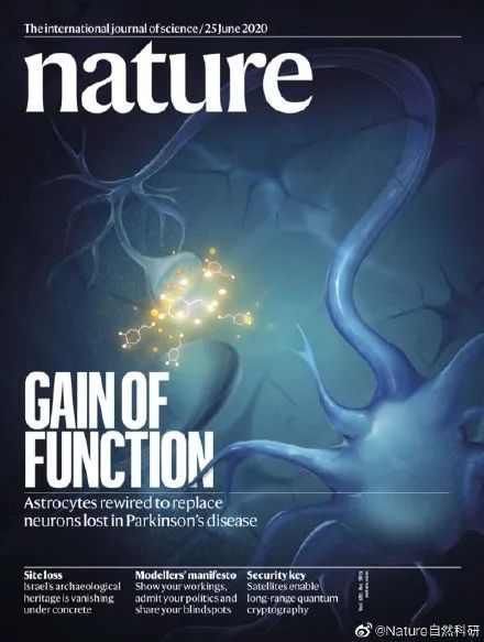  蒲慕明所长|加州大学付向东教授实名举报中科院学者杨辉学术抄袭，杨辉所在单位已成立调查组