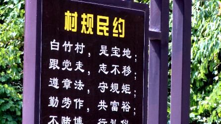  翻身仗|【决战决胜 脱贫攻坚】这个村打了场漂亮的“翻身仗”