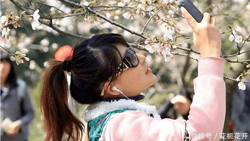 中国|德国游客: 中国是世界上旅游最安全的国家, 韩国网友: 太对了!