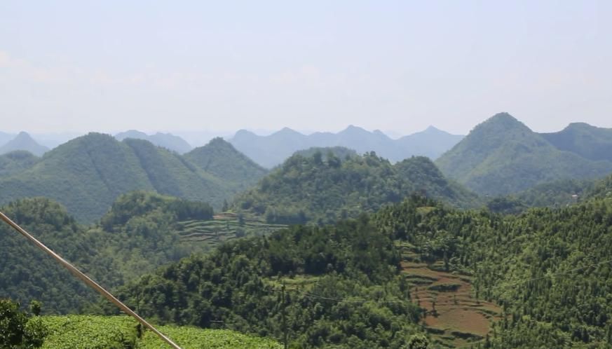 隔绝|男子杀人后藏匿深山！与外界隔绝18年，养一群狗放哨！