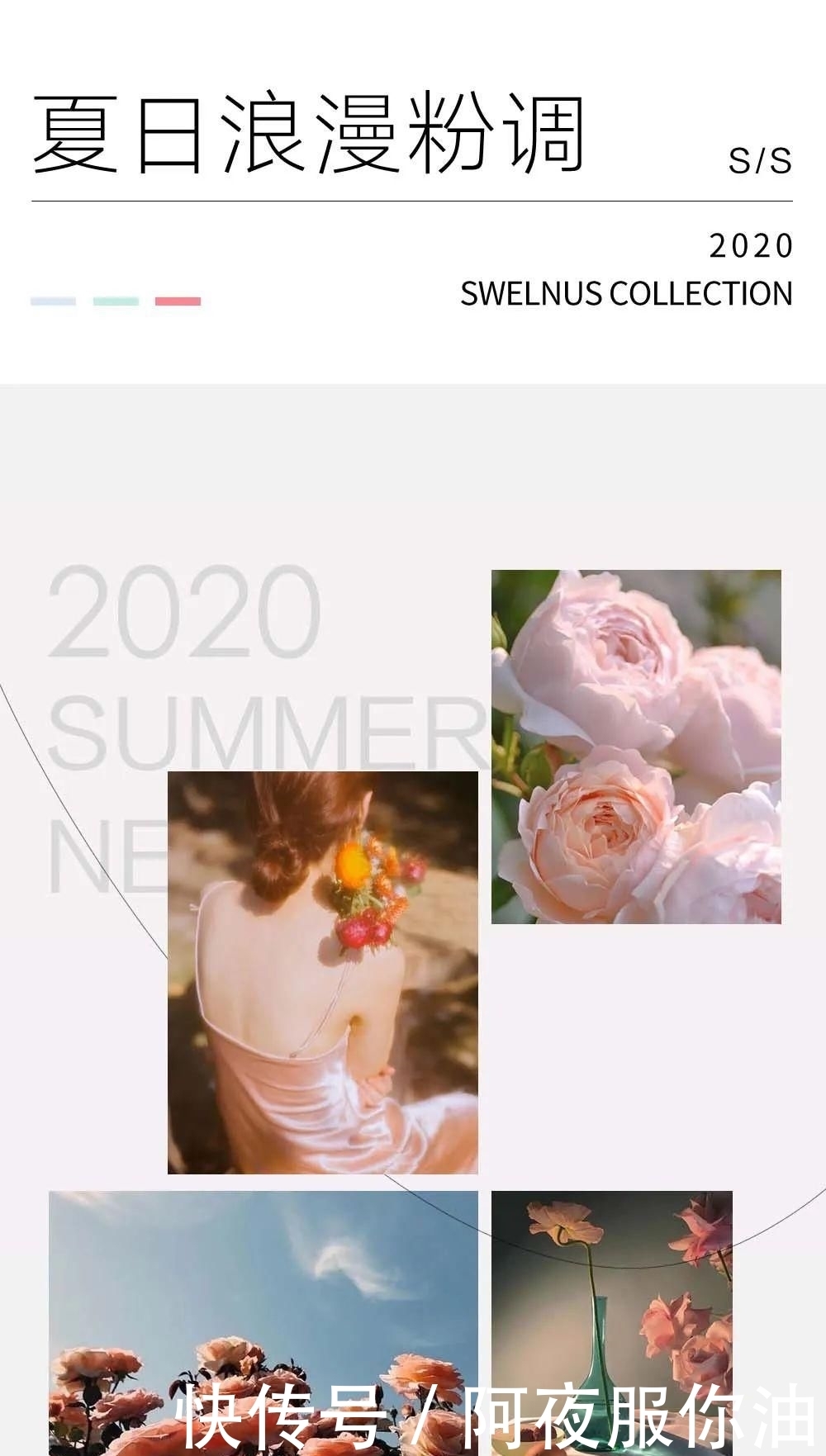  蔷薇|一抹蔷薇粉，触发浪漫灵感