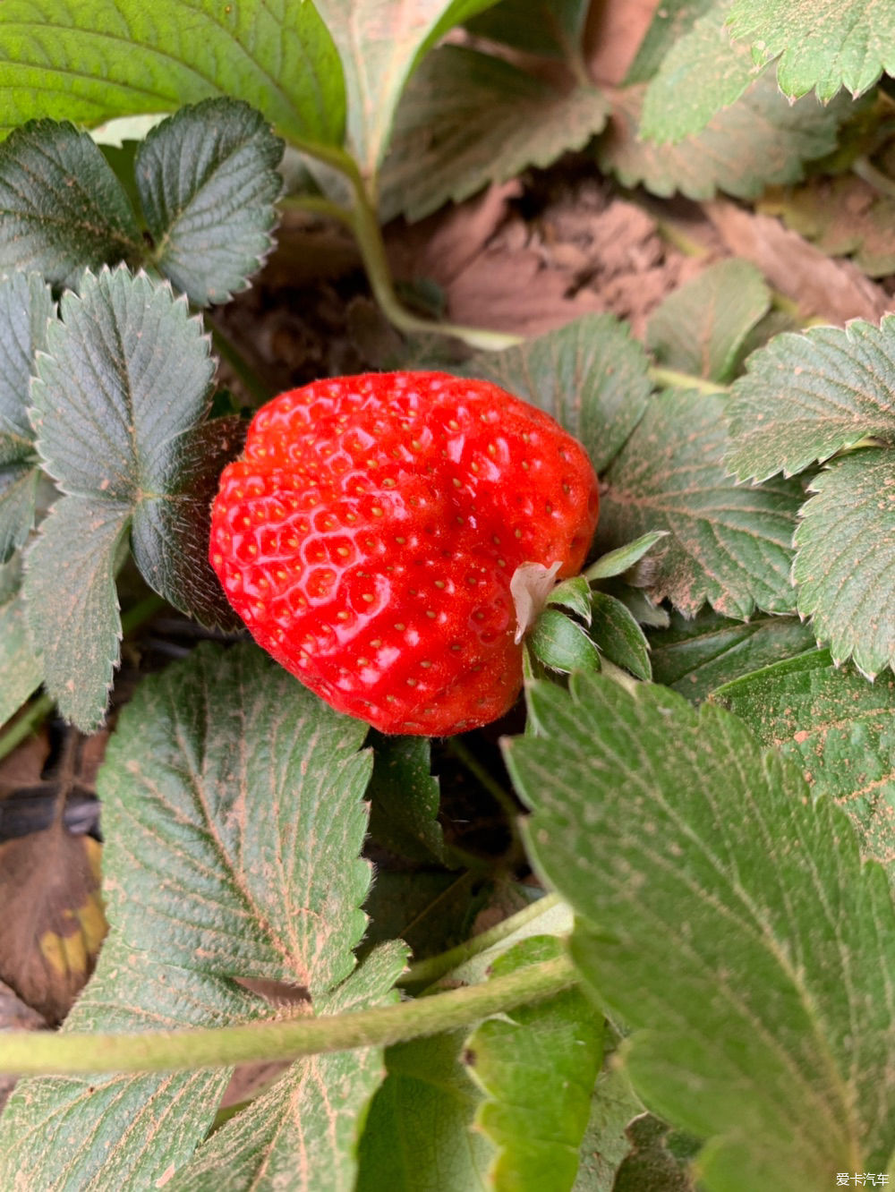  解释|【我们都过了解释的年纪】新的起点，出发吧