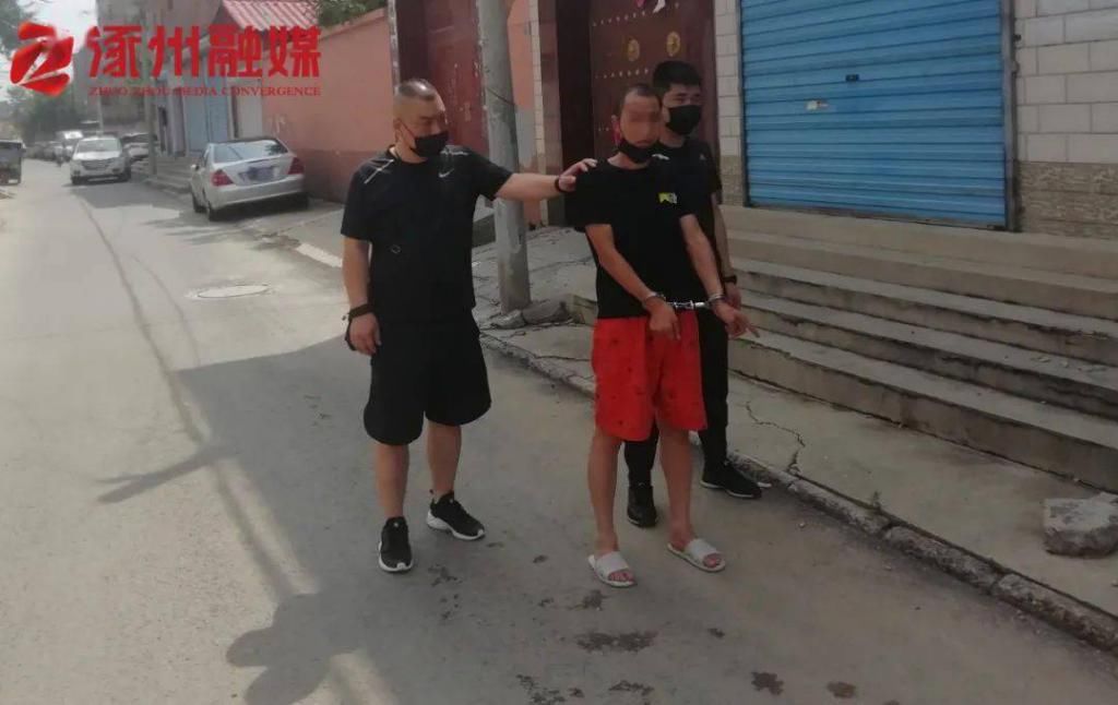 犯罪嫌疑人|猖狂！背街小巷！他专挑这样的目标下手……落网了！