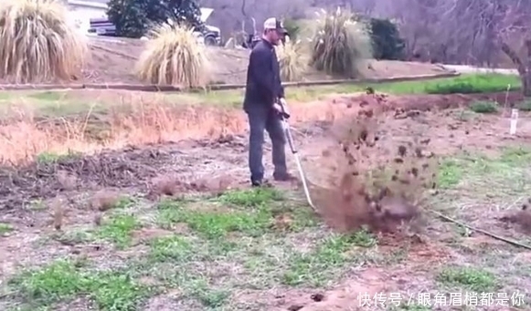 人大|国外男子这样灭田鼠，一次几十只，让人大呼过瘾！
