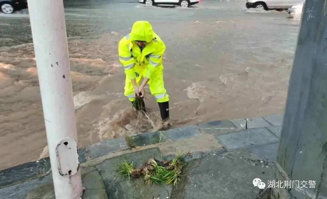  雨前|这71名司机，“赶”在雨前，“囧”在酒后| 一线微观