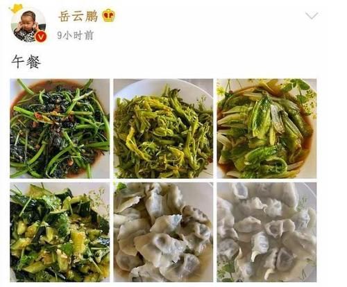  午餐|岳云鹏又晒午餐了，除了饺子都是素菜，这是准备减肥了吗？