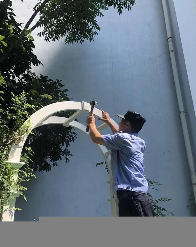  种植园|「园所动态」“我为种植园取名字”——诺亚舟和庄幼儿园