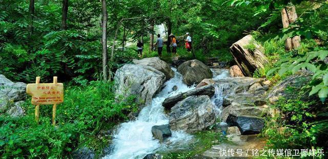  人间烟火|采松菇、挖野菜！在“超凡脱俗”的美景里解锁“人间烟火”！