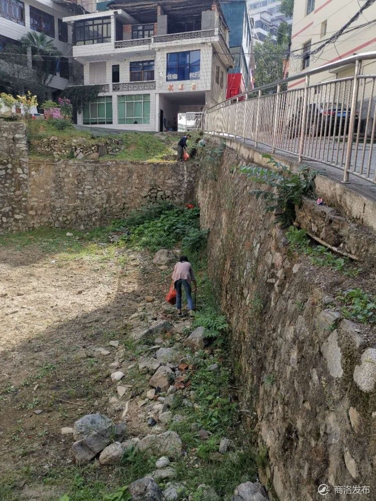 县城|柞水洁净文明县城环境“现在进行时”