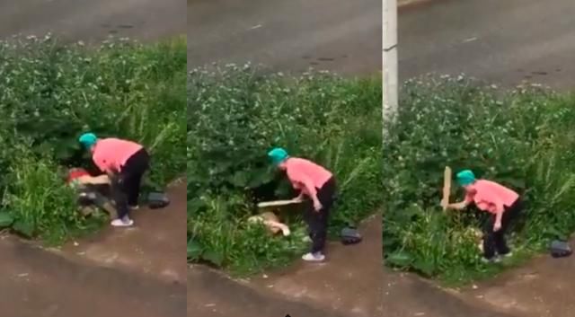  大妈|俄一对情侣草丛缠绵，被愤怒的邻居大妈用木板狠打严厉教育