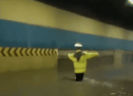  奶猫|流浪奶猫暴雨中被警察蜀黍救下，还在警队找到了工作……