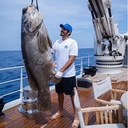  王子|卡塔尔王子在美留学“壕”得漏油，学历不用自己考？靠的都是假发票？