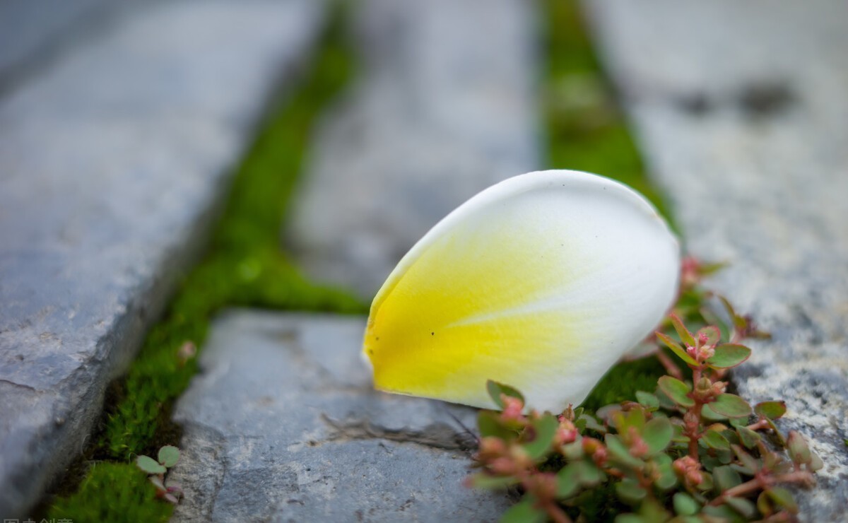  烟消暮雨残|心的站台，回首之时，落花的碎沾满了尘埃