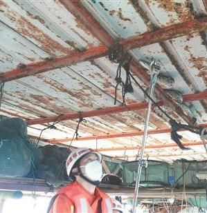  巨蟒|2米巨蟒藏匿渔排 消防员出海捕蛇