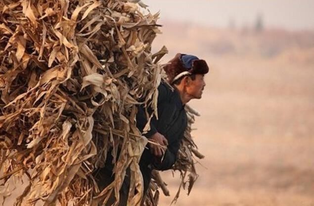  男孩|男孩离家出走3年，父亲酗酒成性出车祸，回家看到一幕他泪如雨下