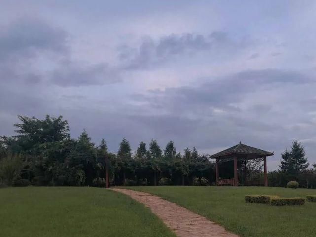 师大人|亲,好久不见