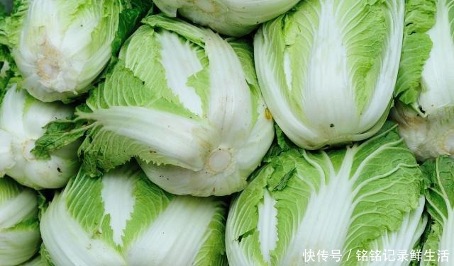吃不完|白菜吃不完保存难教你1个好办法,放半年不烂,和鲜的一样好吃