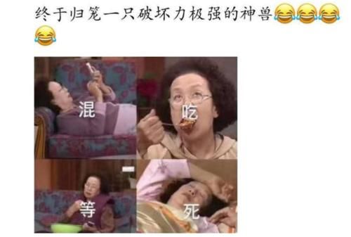  孩子|开学第一天，家长和孩子之万相