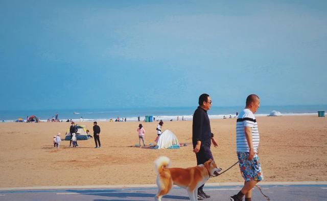 快乐|我在青岛做了这10件小事,找回了久违的快乐