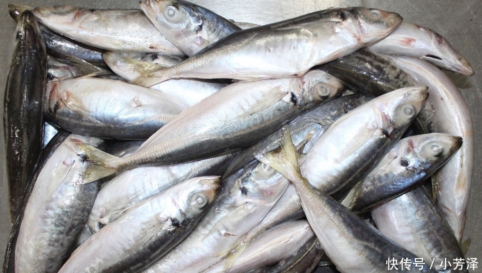 鲈鱼|鲤鱼鲫鱼比不过,这3种海鱼才是“营养首选”!说名字,老板就知是行家
