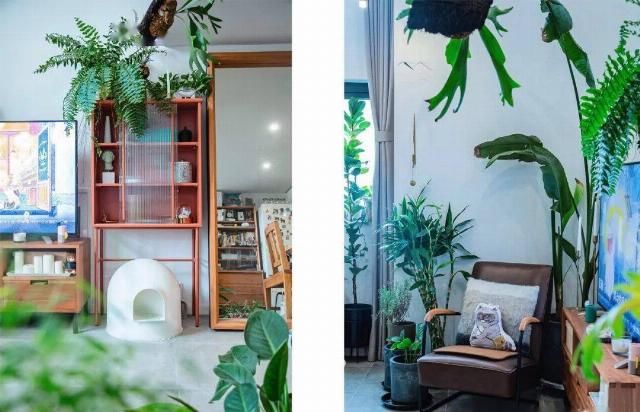  友钱的家|现在的年轻人，不住300㎡要住30㎡？