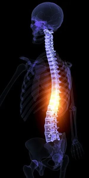  名牌|66岁大妈背孙子玩“撕名牌”受伤致残，谁该为此“买单”？