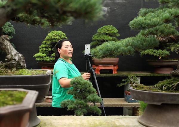  栽转|沭阳：花木地栽转盆栽 促进产业兴旺