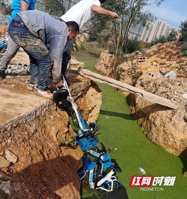 严打|湖南公安将严打涉共享单车犯罪，还在私占、破坏的请收手