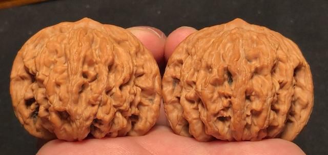  样子|好的核桃到底是什么样子的