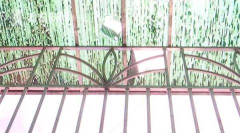  活物|雨棚被砸出大窟窿!一看视频业主怒了:是个＂活物＂