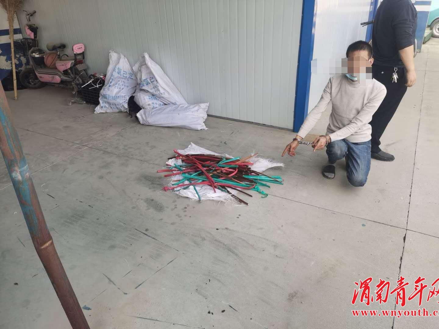 犯罪嫌疑人|崇业路派出所破获系列盗窃电缆案