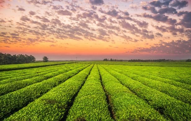  美国|美国10岁小女孩给母亲留下字条后服药自杀，字条内容或许另有蹊跷