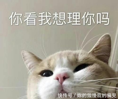 笑话|笑话:有一次跟老公闹脾气,感觉他就是一点也不懂女人。