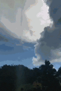 改造|搞笑GIF趣图：我觉得这健身床，可以好好改造一下，你们懂的