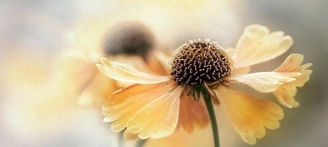 励志|几句励志心灵鸡汤,写在心里,为你一个人