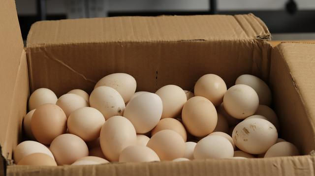 箱里面|鸡蛋不要放冰箱，教你保存小妙招，放三个月都不坏，省钱又实用