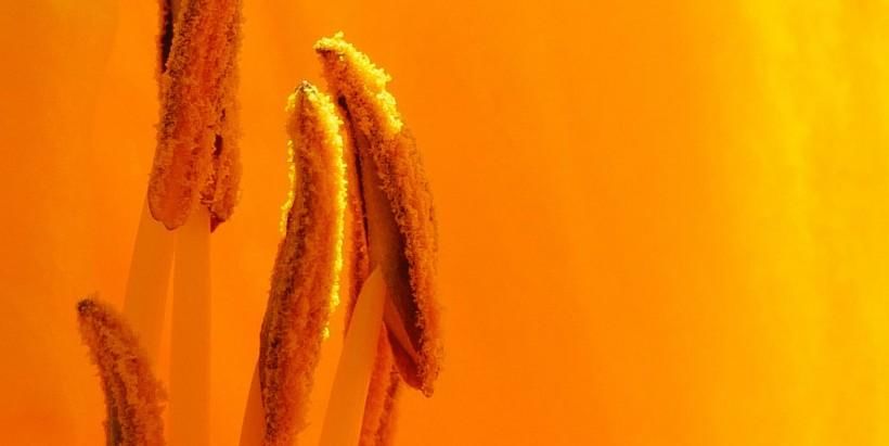 星座|10月,好运汇聚,爱情柳暗花明的4大星座,桃花运超棒