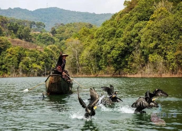 普洱|一天一点普洱穿行千年茶马古道,尽览五朝普洱风云