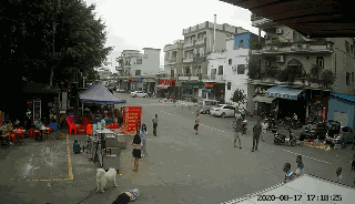  最新|飞来横祸！老人被狗绳绊倒摔地后身亡，最新通报！