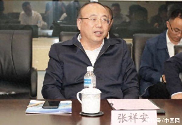 安徽省政协副主席、安庆市委书记张祥安一行到访正泰新能源