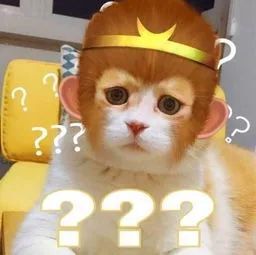  银川|银川男子无证骑摩托被查，民警询问竟称没时间考证！