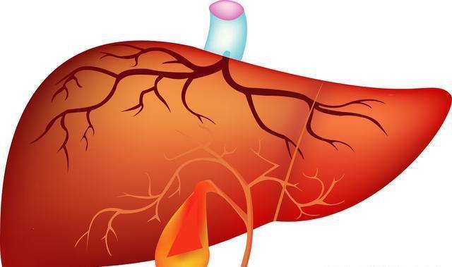  好不好|肝好不好，从什么地方能看出来