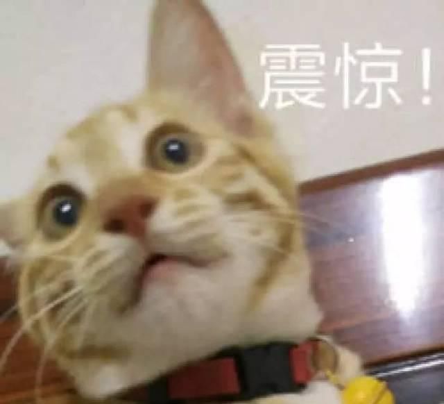  身陷|他智商140，31岁成北大教授，如今身陷出轨疑云跌“神坛”