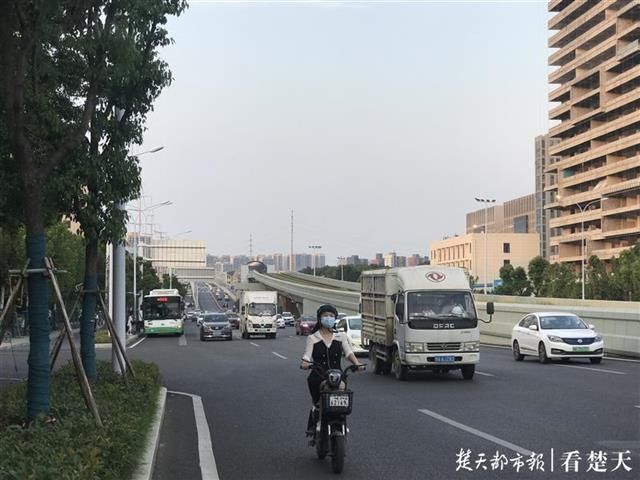 行人|800米路段无过街通道,行人翻越绿化带过马路