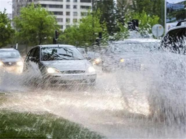  舍得|暴雨过后大树砸坏7辆车，大众车主却笑了：这下怎么舍得换车？