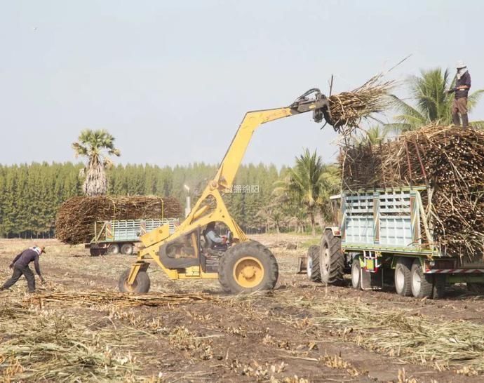 粪污|处置秸秆、畜禽粪污难？看“绵阳造”出妙招！