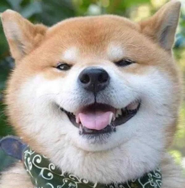 绿化带|@晋A518YF，看把你厉害的，碾压绿化带右转