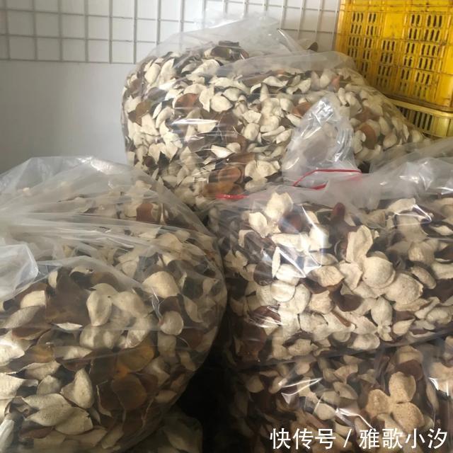 南方人|东北大娘囤300斤大白菜,南方人却喜欢囤这些!