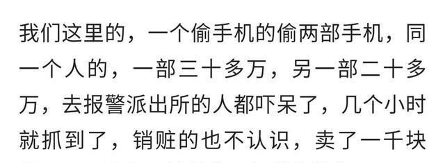小偷被判|小偷偷了两块鹅卵石, 被抓后, 失主说500万一块, 最后被判重罪