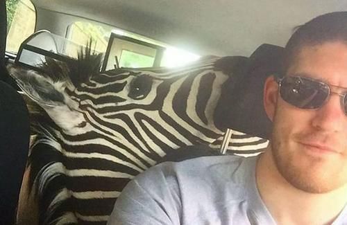 炫耀|英国男子拍照炫耀珍藏濒危稀有动物标本,引发轩然大波后被捕入狱